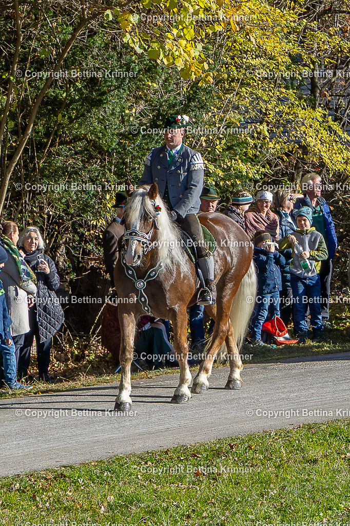 LBT25-321 | foto-bettina-krinner - Realisiert mit Pictrs.com