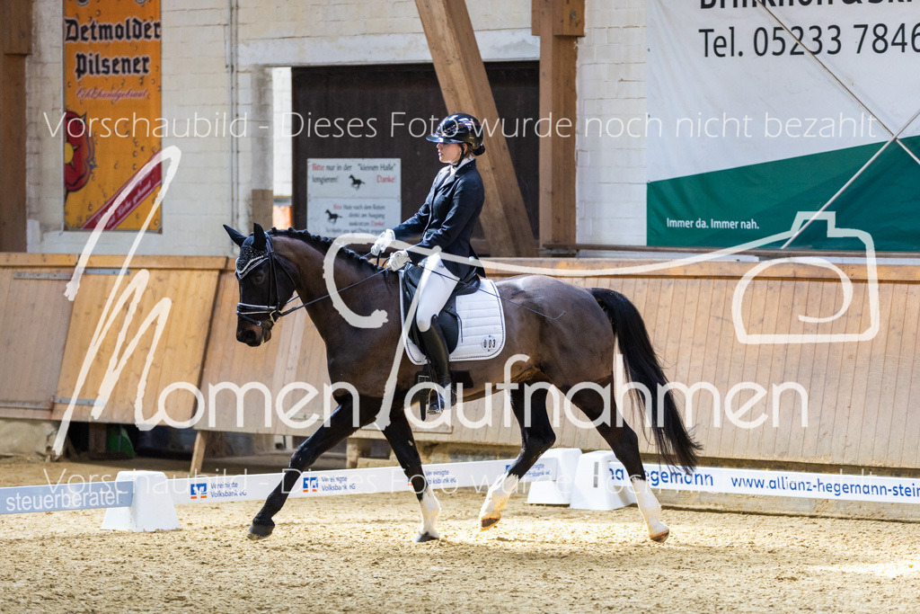 Sth-LPO25-DrR-L-146 | MomenTaufnahmen Pferdesportfotos