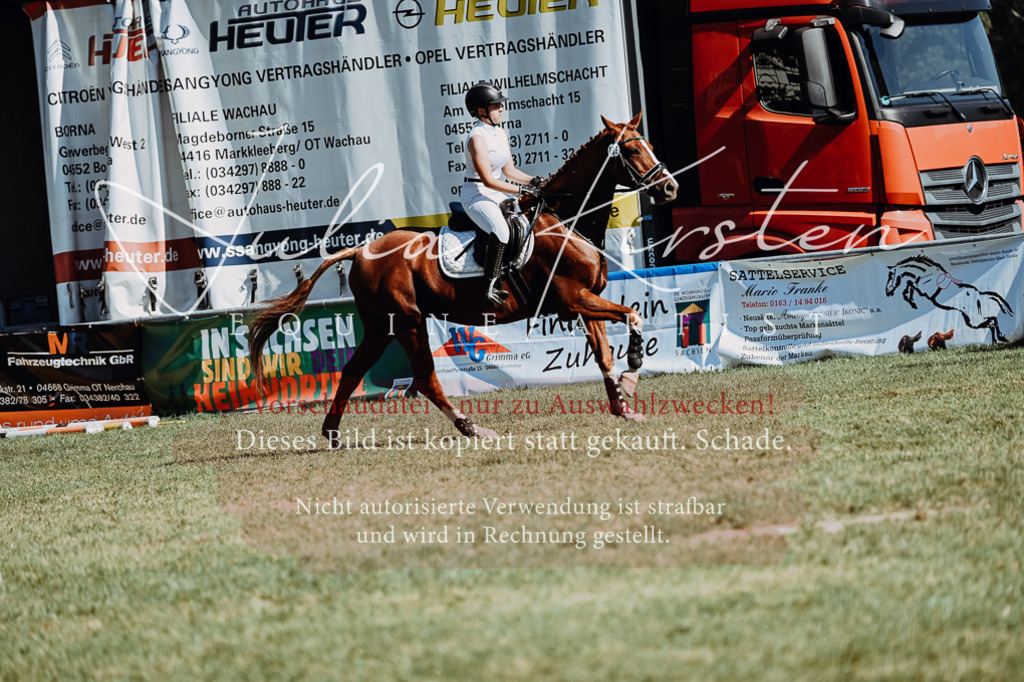 DSC_6964 | Pferde- und Turnierfotografie in Westsachsen. Pferdeportraits, Auftragszeichnungen und intuitive Kunst.