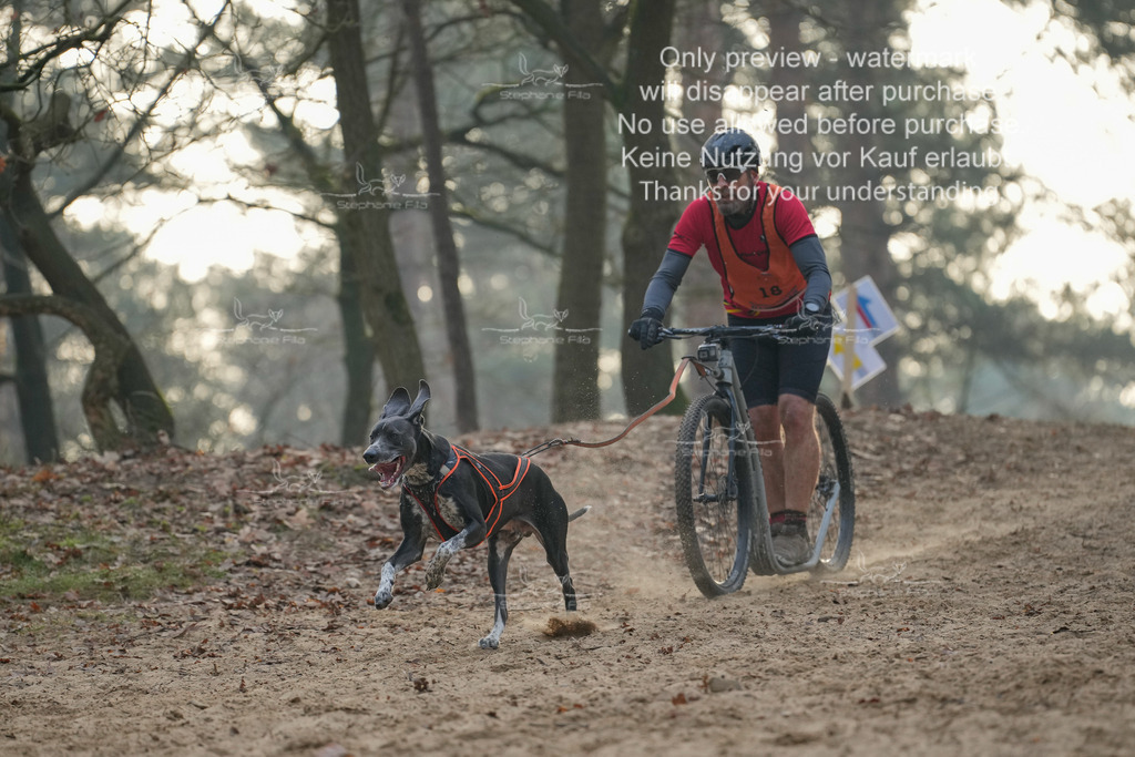 Scooter1-82 | stephaniefillaphotographie - Realisiert mit Pictrs.com