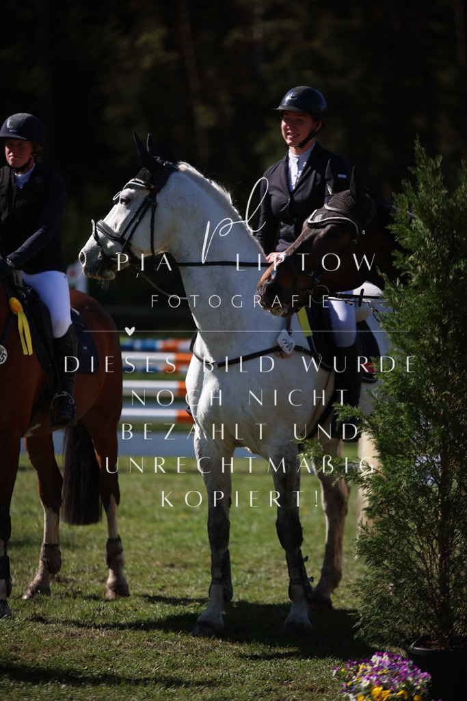 IMGT0549 | pl-fotografie