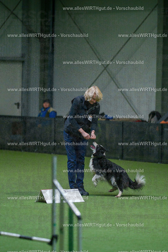 7R502769 | Professionelle Tierfotografie in Mönchengladbach von Daniel Wirth (allesWIRTHgut). Liebevolle & natürliche Bilder von Hunden & Katzen für unvergessliche Erinnerungen.