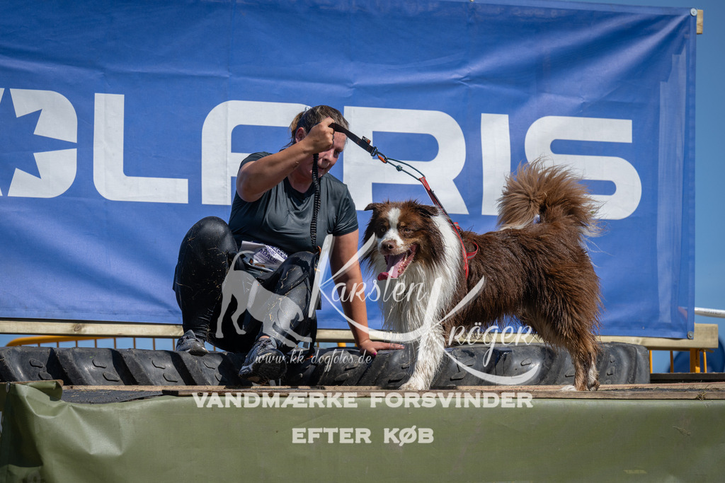 1208_ZZ94127 | kk-dogfotos