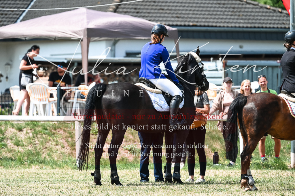 DSC_9499 | Pferde- und Turnierfotografie in Westsachsen. Pferdeportraits, Auftragszeichnungen und intuitive Kunst.