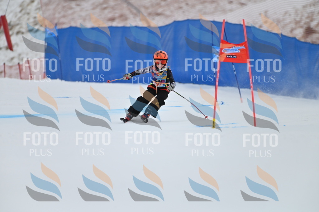 BGV_1741 | holidayphoto