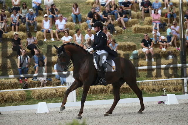 Birkhof_2022_GrandPrixSpecial_Martina Steisslinger_Favory A.S (8) | Alle Fotos der Reiterjournal Fotografin Doris Matthaes im Reiterjournal Online-Fotoshop. - Realisiert mit Pictrs.com