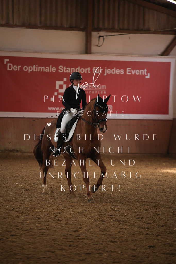 IMGT4731 | pl-fotografie