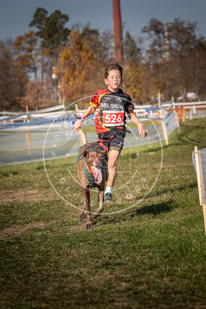 CaniXpix_0L8A7276 | Hundefotografie, Tierfotograf, Pfotenfotografie, Fotoshooting Hund, Hunde Portrait, Hundesport, Hundeportraits, Heideshooting, Hunde, Sportfotograf, Hundefotograf, Turnierhundsport, THS,  - Realisiert mit Pictrs.com