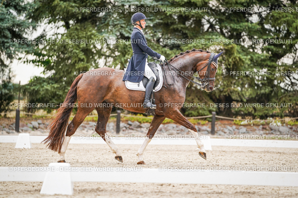 DSC07765 | Pferdegrafie