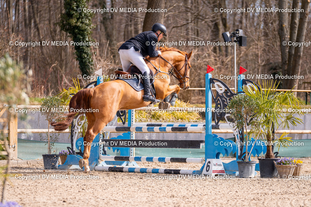 Kranichstein Tag 1-503 | dv-media-shop - Realisiert mit Pictrs.com