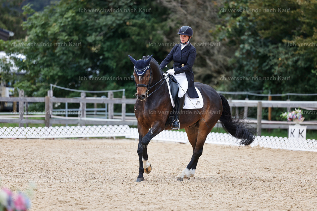12-074-DRESSUR  S___  -StoibPH-5355 | working equitationturnier fotograf videograf stoibphotography marixx film working equitation deutschland reitsport turnierfotografie eventfotografie equestrian events