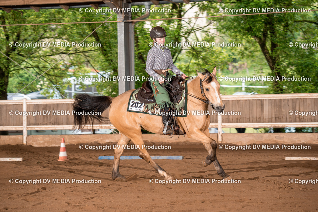 Erbach Tag 2-296 | dv-media-shop - Realisiert mit Pictrs.com