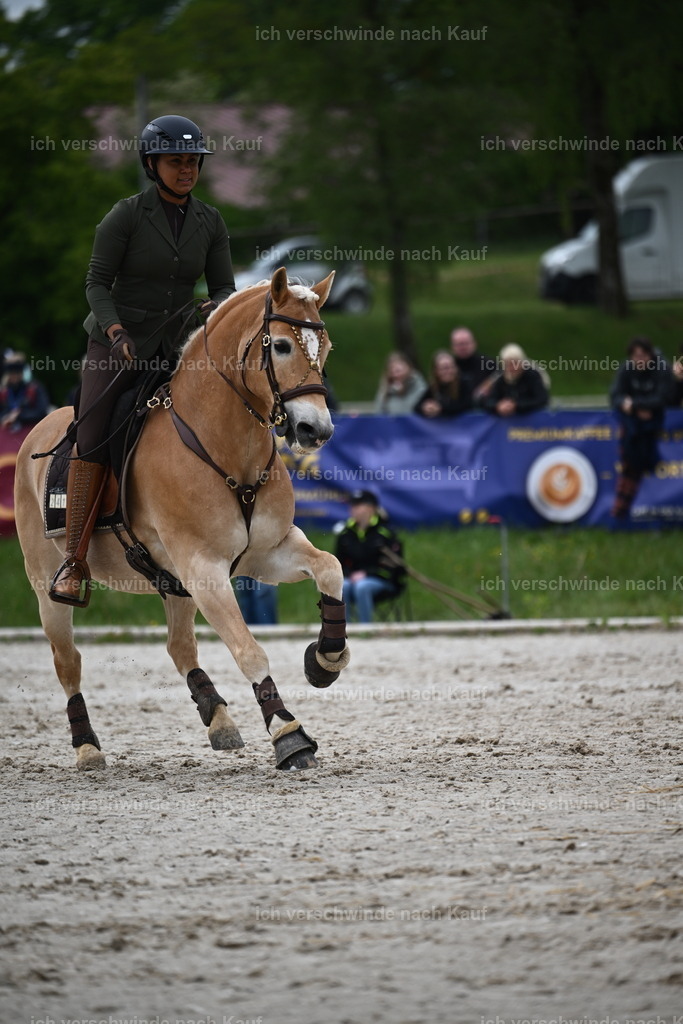 PI26_SP_Sara_Landvogt_226_4678.JPG | working equitationturnier fotograf videograf stoibphotography marixx film working equitation deutschland reitsport turnierfotografie eventfotografie equestrian events