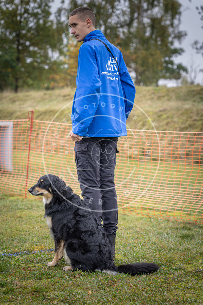 Pfotenfotografie_DV3A8843 | Hundefotografie, Tierfotograf, Pfotenfotografie, Fotoshooting Hund, Hunde Portrait, Hundesport, Hundeportraits, Heideshooting, Hunde, Sportfotograf, Hundefotograf, Turnierhundsport, THS,  - Realisiert mit Pictrs.com