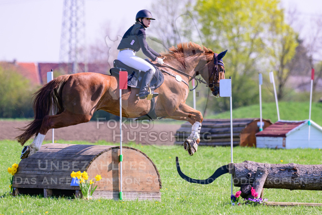 18042026-Gernlinden-03-0719 | Fokus Hufschlag Fotografie - Realisiert mit Pictrs.com