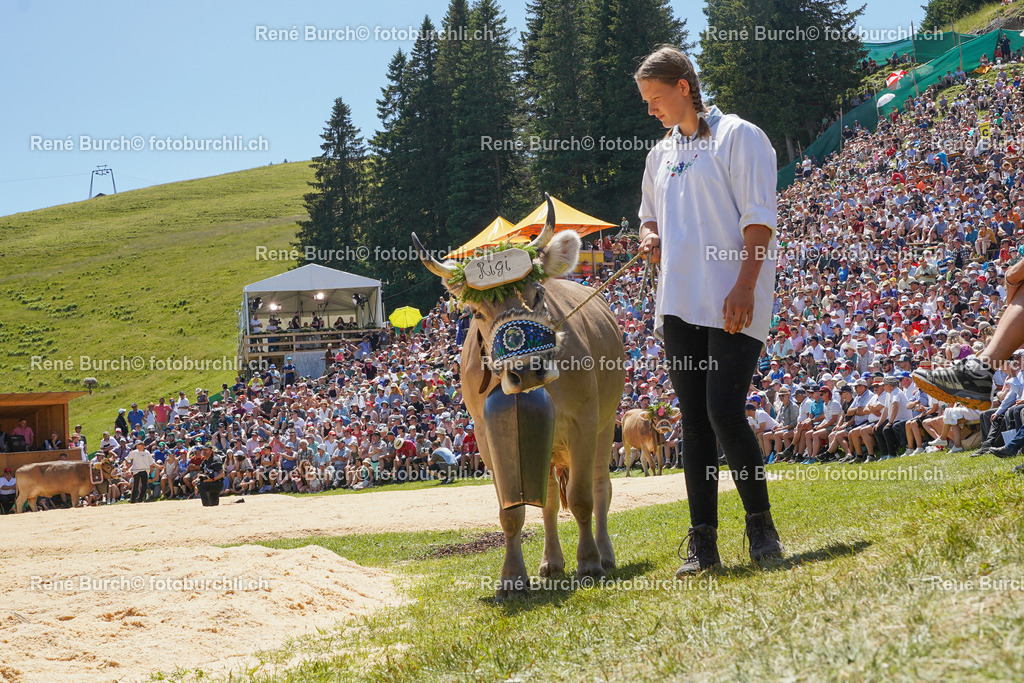 DSC00649 | René Burch leidenschaftlicher Fotograf aus Kerns in Obwalden.  Hier finden sie Sport, Landschaft und Natur Fotografie.
 - Realisiert mit Pictrs.com
