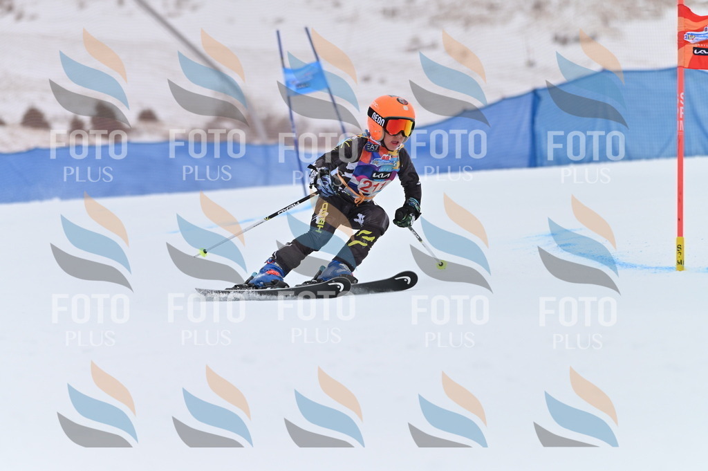 BGV_2461 | holidayphoto