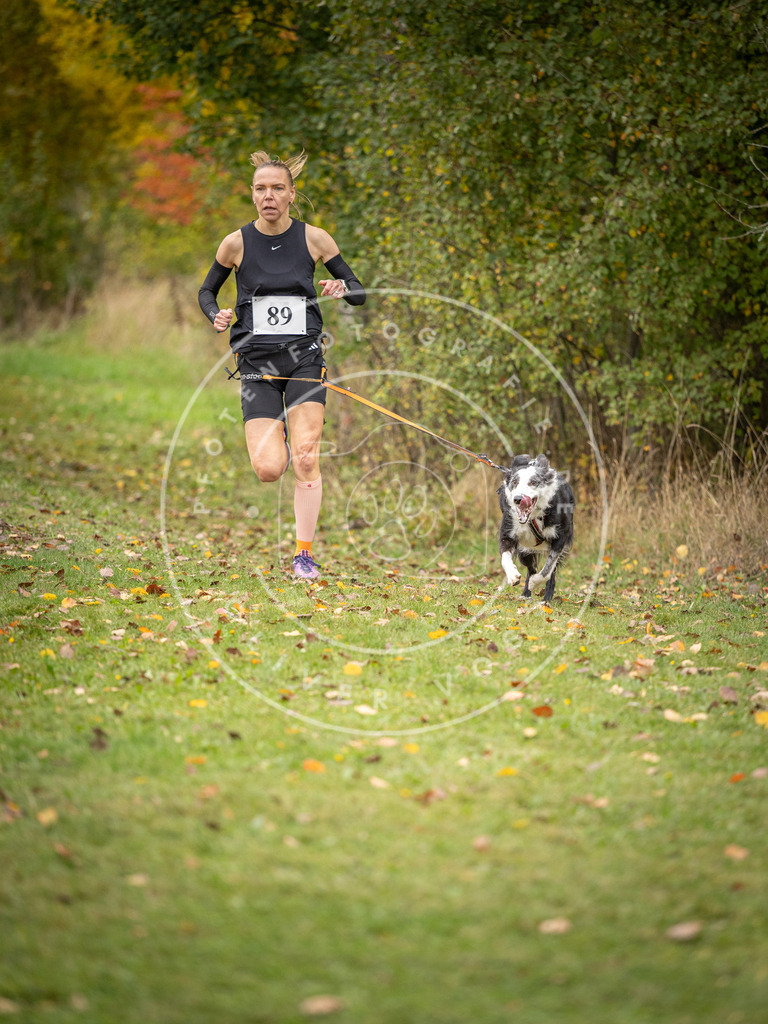 Pfotenfotografie_DV3A3173 | Hundefotografie, Tierfotograf, Pfotenfotografie, Fotoshooting Hund, Hunde Portrait, Hundesport, Hundeportraits, Heideshooting, Hunde, Sportfotograf, Hundefotograf, Turnierhundsport, THS,  - Realisiert mit Pictrs.com