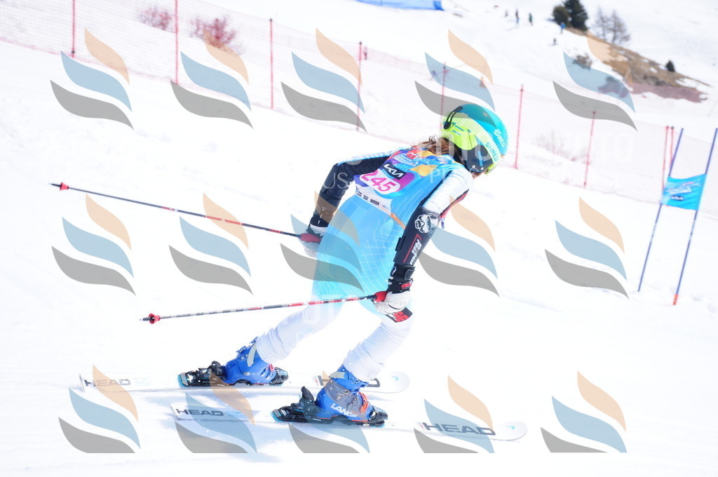 DSC_6183 | holidayphoto