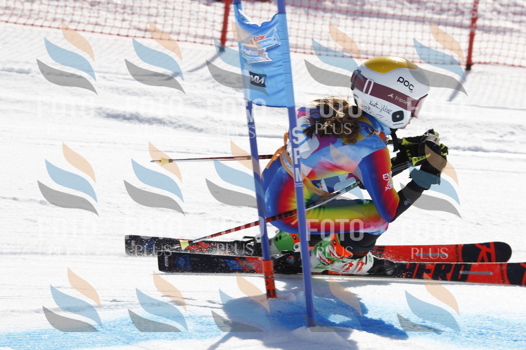 _U3G8887 | holidayphoto