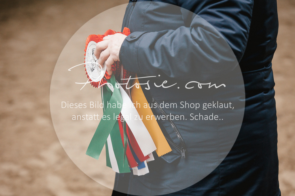 3I6A7707 | Stimmungsvolle Portraits und Reitsportfotografie im Ruhrgebiet und im Münsterland.

Pferdefotografie, Hundefotografie, Tierfotografie, Reportagen, Portraits von Tier und Mensch, Turnierfotografie in Bochum, Recklinghausen, Marl, Haltern am See, Dülmen.. - Realisiert mit Pictrs.com