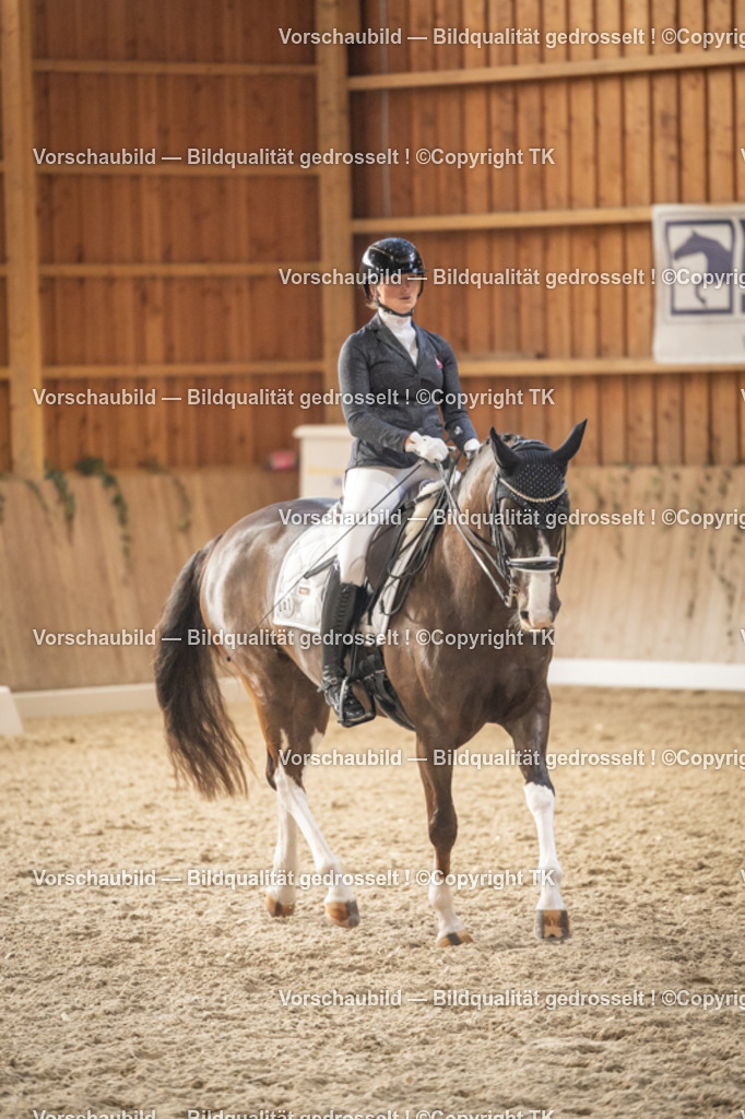 _D5A6492 | Emotionale Pferde- & People-Fotografie rund um Heidelberg, Leimen & Umgebung. Natürliche Fotos von Pferd, Mensch & Familie. Jetzt Termin sichern!