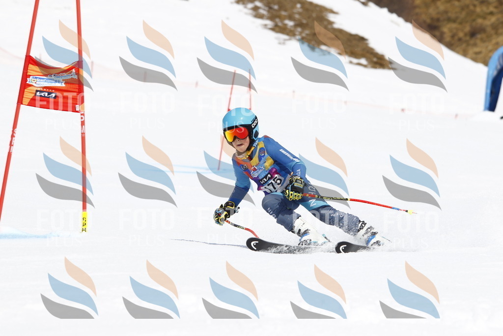 _U3G4614 | holidayphoto