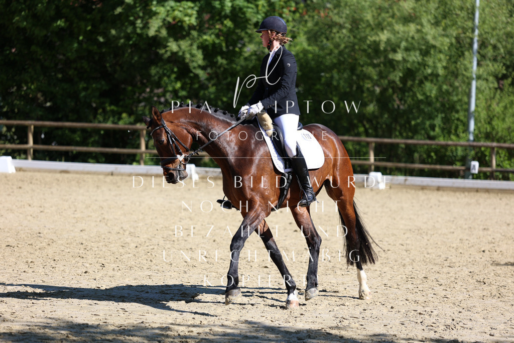 IMGT0365 | pl-fotografie