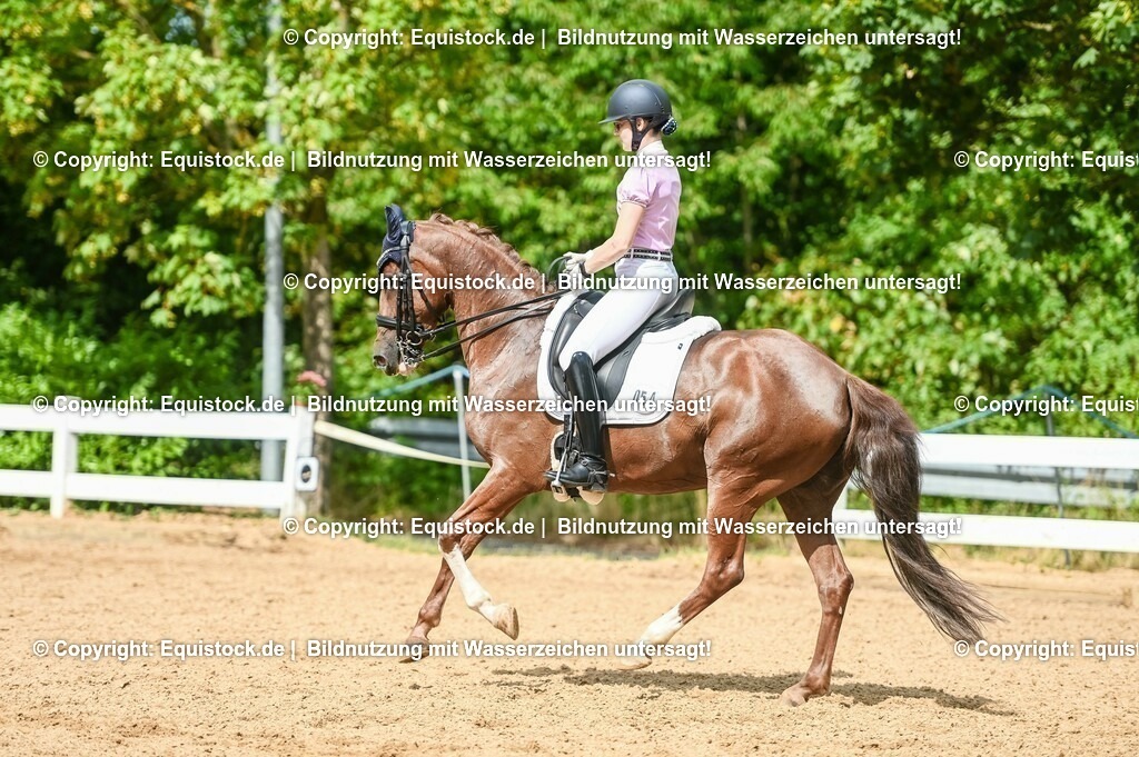 20230716_01_Dressurprüfung Kl.M_0390 | equistock