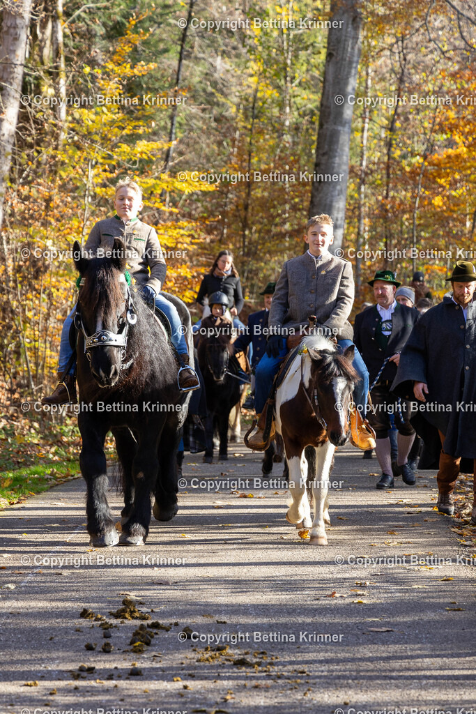 LL24-357 | foto-bettina-krinner - Realisiert mit Pictrs.com