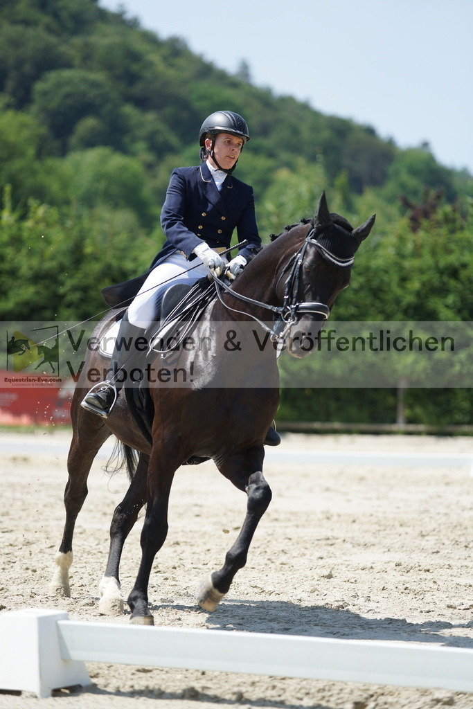 DSC05211 | equestrian-live-com