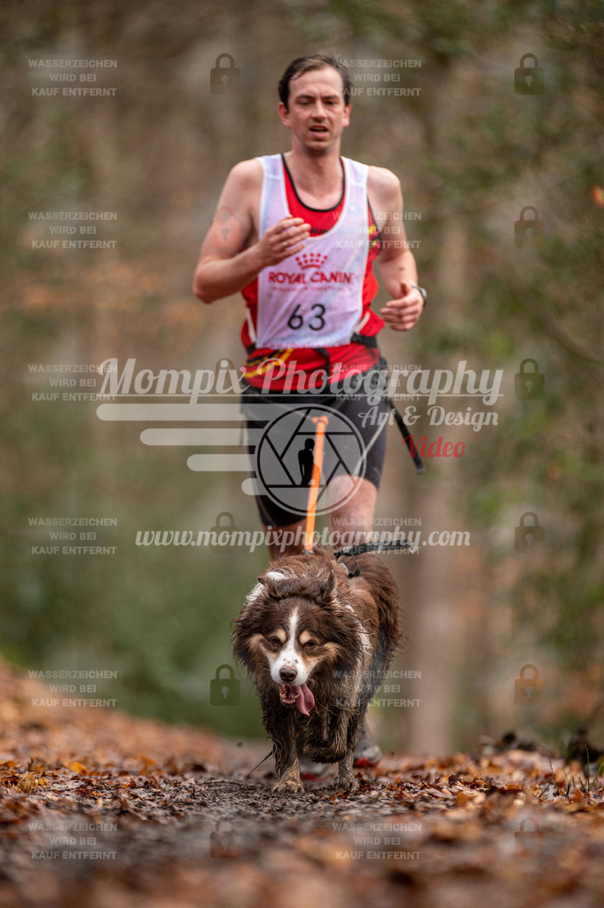 SPA_2023_DIM_CCL-117 | PayLife