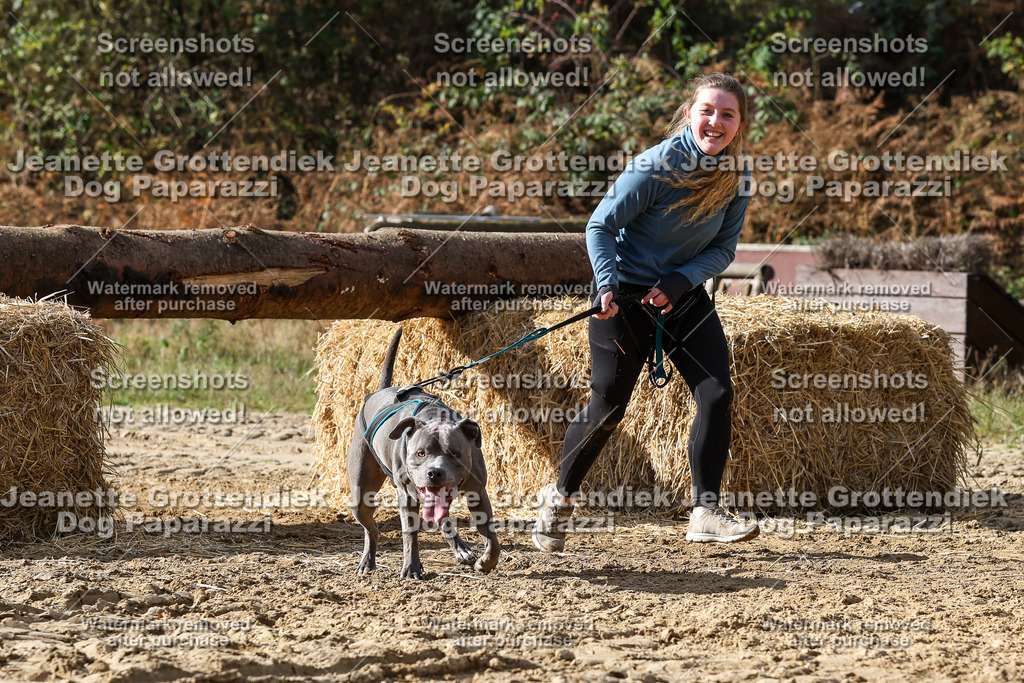 Dog Paparazzi - Strongdog 10-25-4987 | Dog Paparazzi Jeanette Grottendiek Fotografie & Videografie - Realisiert mit Pictrs.com