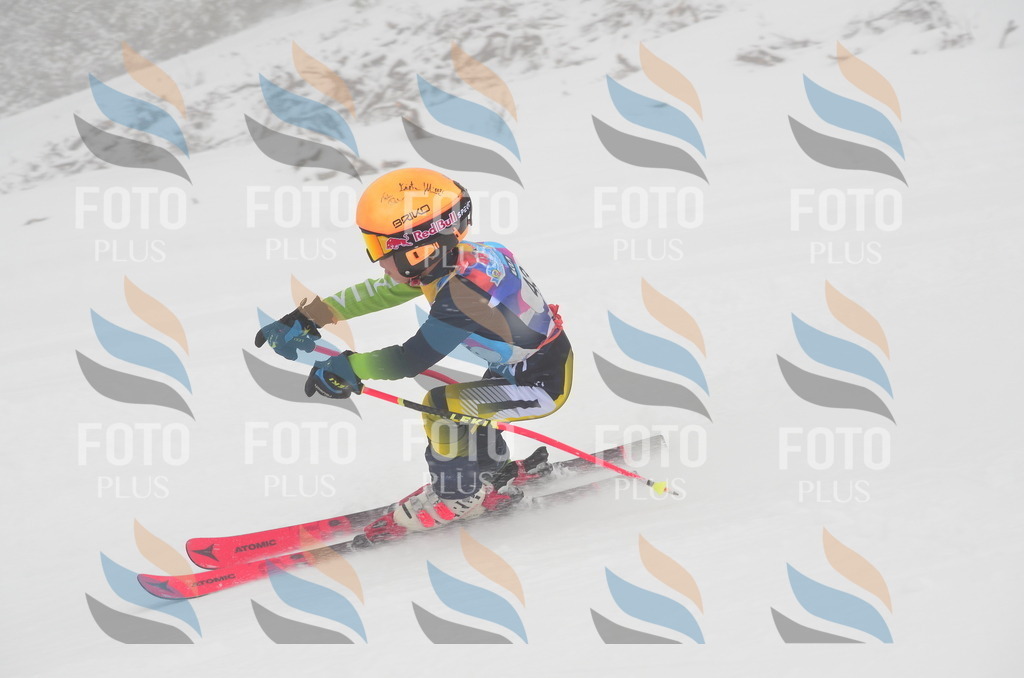 C0897 | holidayphoto