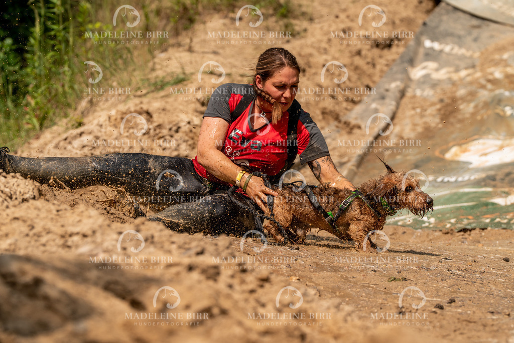 madeleinebirr.fotografie.2026.CC-hoope.samstag.14-57-03.298 | hundefotografie-birr