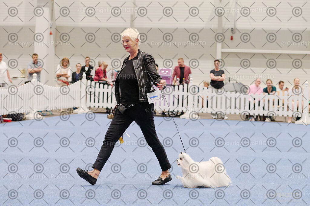 202406_ÖKV-IHA-Tulln24_DSC_2794 | proPHOTO - Realisiert mit Pictrs.com