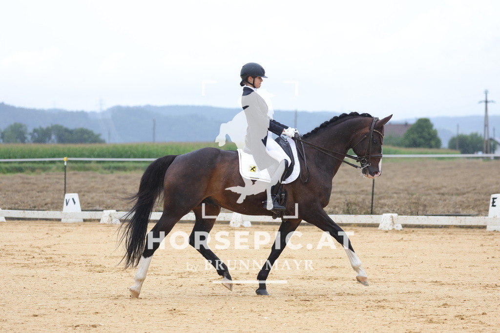 0P6A0893 | Willkommen bei Brunnmayr - Design & Fotografie – Ihrem Spezialisten für Reitturniere und Pferdeveranstaltungen in Oberösterreich, Salzburg und Bayern! Seit über 17 Jahren sind wir leidenschaftlich dabei.