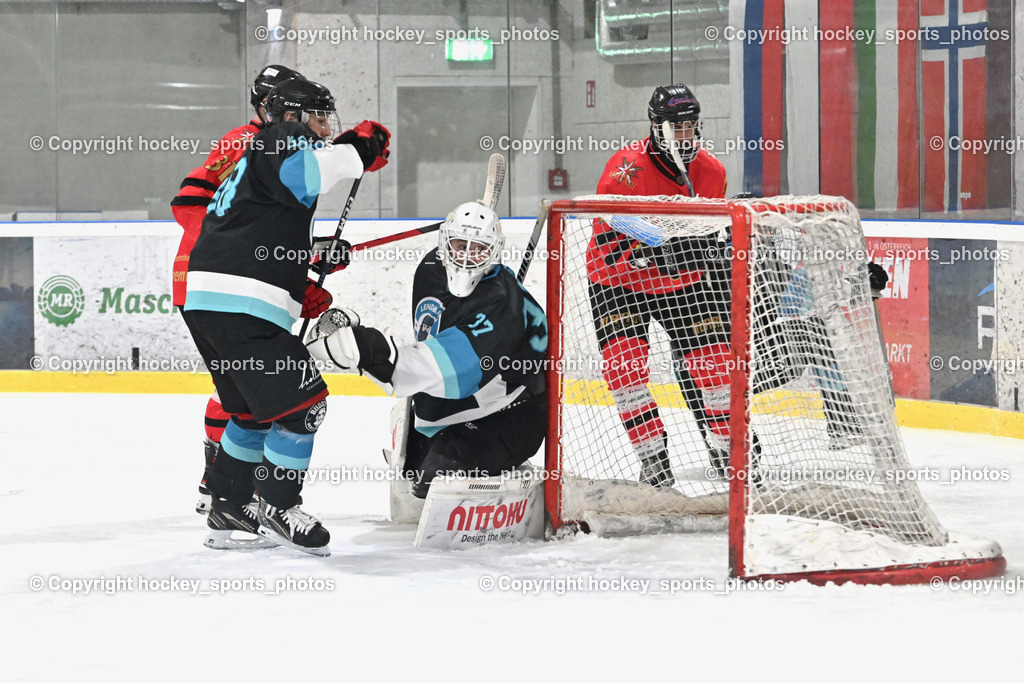 Lendhafen Seelöwen vs. Spartans Althofen | #88 Katnik Sebastian Lendhafen Seelöwen, #37 Juch Lukas Lendhafen Seelöwen, #70 Schumnig Martin Spartans Althofen, Lendhafen Seelöwen vs. Spartans Althofen, Lendhafen Seelöwen vs. Spartans Althofen am 14.02.2025 in Ferlach (HTC Eishalle Ferlach), Austria, (Photo by Bernd Stefan)