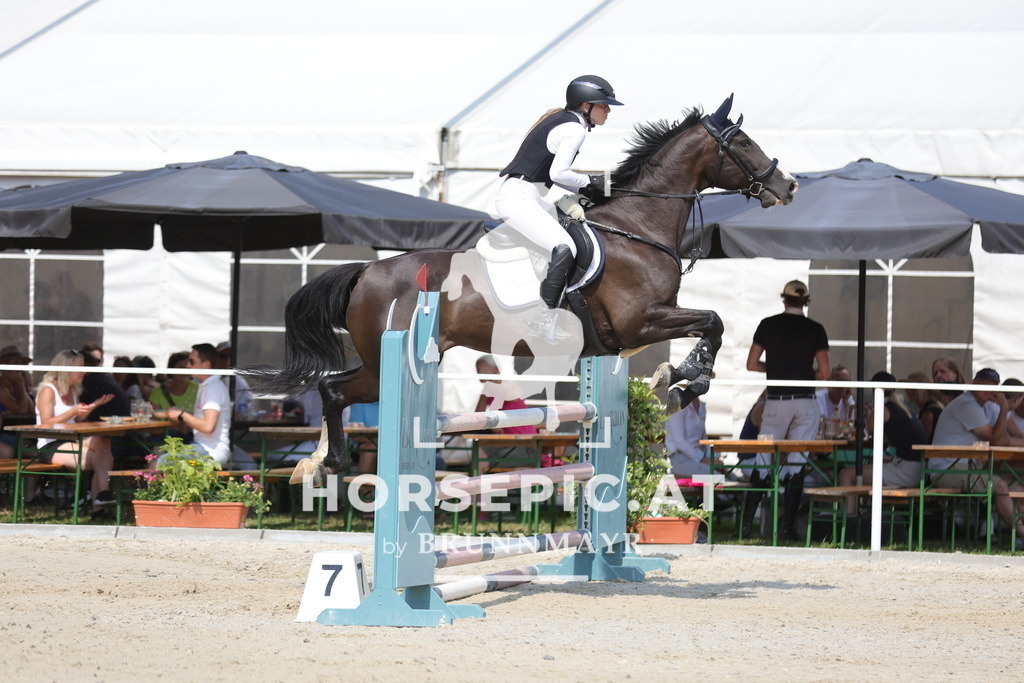 0P6A0599 | Willkommen bei Brunnmayr - Design & Fotografie – Ihrem Spezialisten für Reitturniere und Pferdeveranstaltungen in Oberösterreich, Salzburg und Bayern! Seit über 17 Jahren sind wir leidenschaftlich dabei.