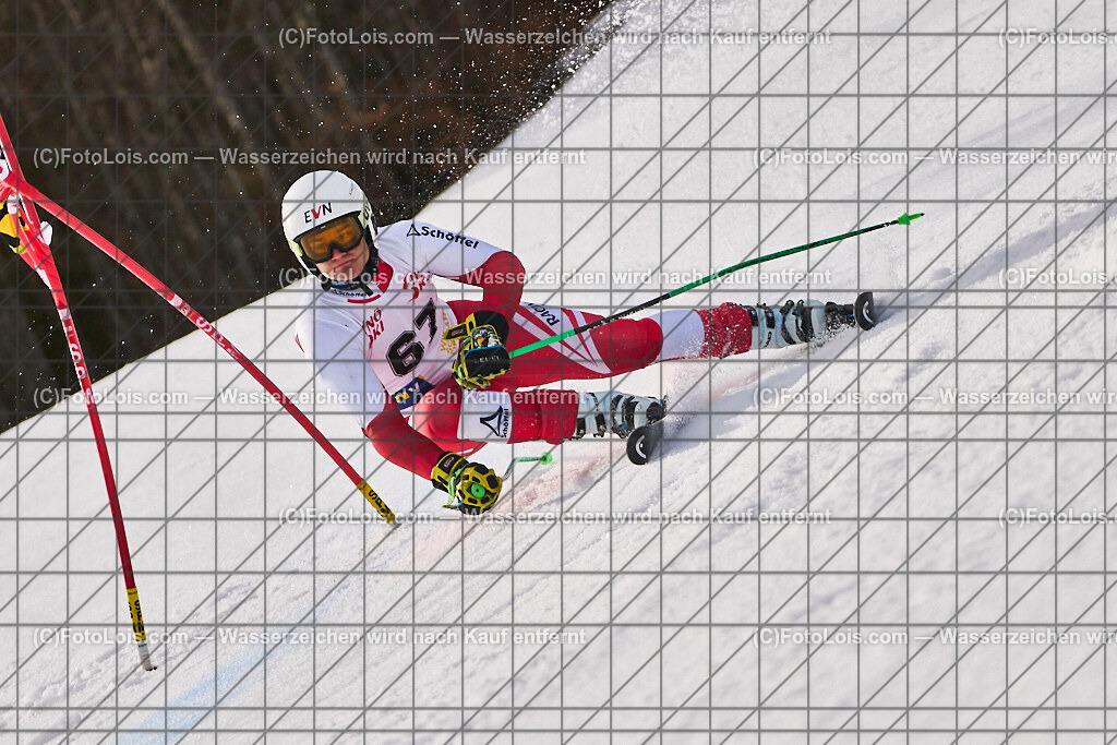 ALP8974_Herrn-FIS-GS-II_Lackenhof-WY_SCHACHINGER Lorenz | Internationaler FIS GiantSlalom der Herrn auf der Distelpiste in Lackenhof am Di 11. März 2025.  Österreich, LSV-NÖ, Sportunion Waidhofen/Ybbs (2035).