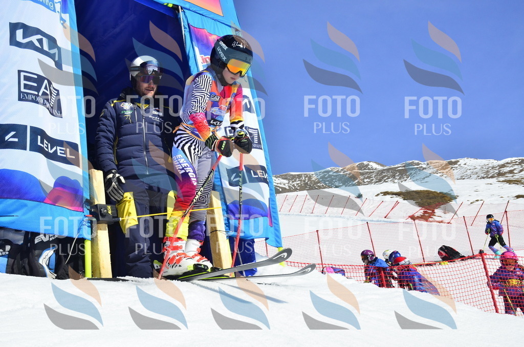 _ELE0021 | holidayphoto