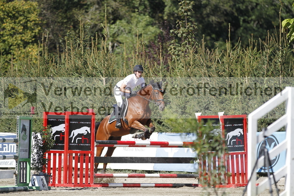_MG_2612 | equestrian-live-com