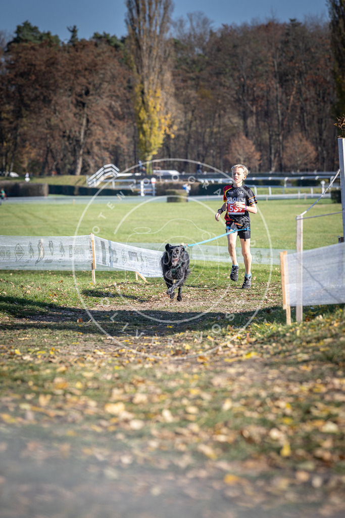CaniXpix_DV3A8349 | Hundefotografie, Tierfotograf, Pfotenfotografie, Fotoshooting Hund, Hunde Portrait, Hundesport, Hundeportraits, Heideshooting, Hunde, Sportfotograf, Hundefotograf, Turnierhundsport, THS,  - Realisiert mit Pictrs.com