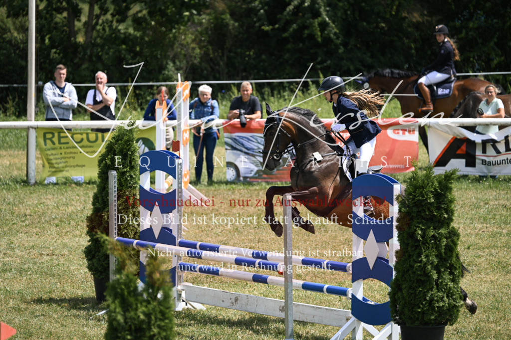 DSC_9495 | Pferde- und Turnierfotografie in Westsachsen. Pferdeportraits, Auftragszeichnungen und intuitive Kunst.