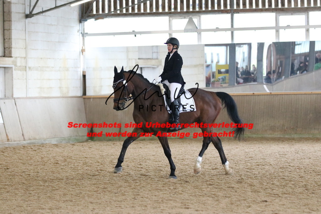 IMG_7345 | lmwpictures - Realisiert mit Pictrs.com