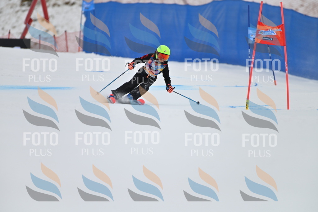 BGV_1606 | holidayphoto