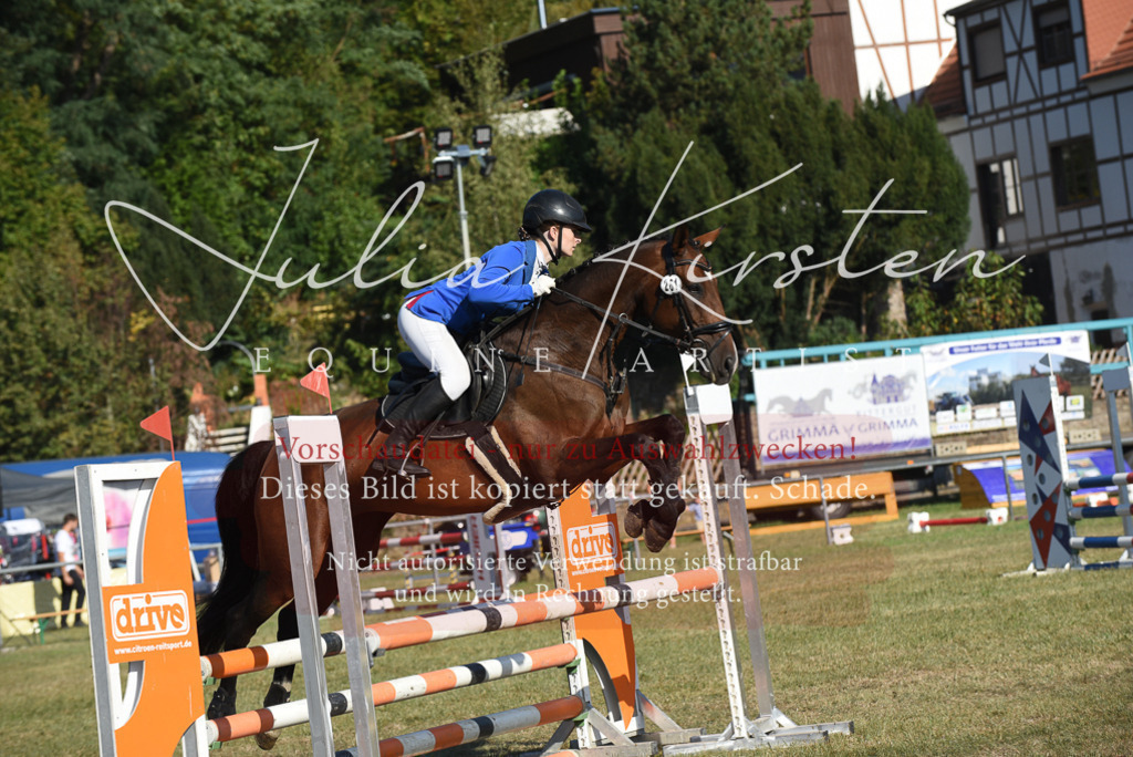 DSC_5306 | Pferde- und Turnierfotografie in Westsachsen. Pferdeportraits, Auftragszeichnungen und intuitive Kunst.