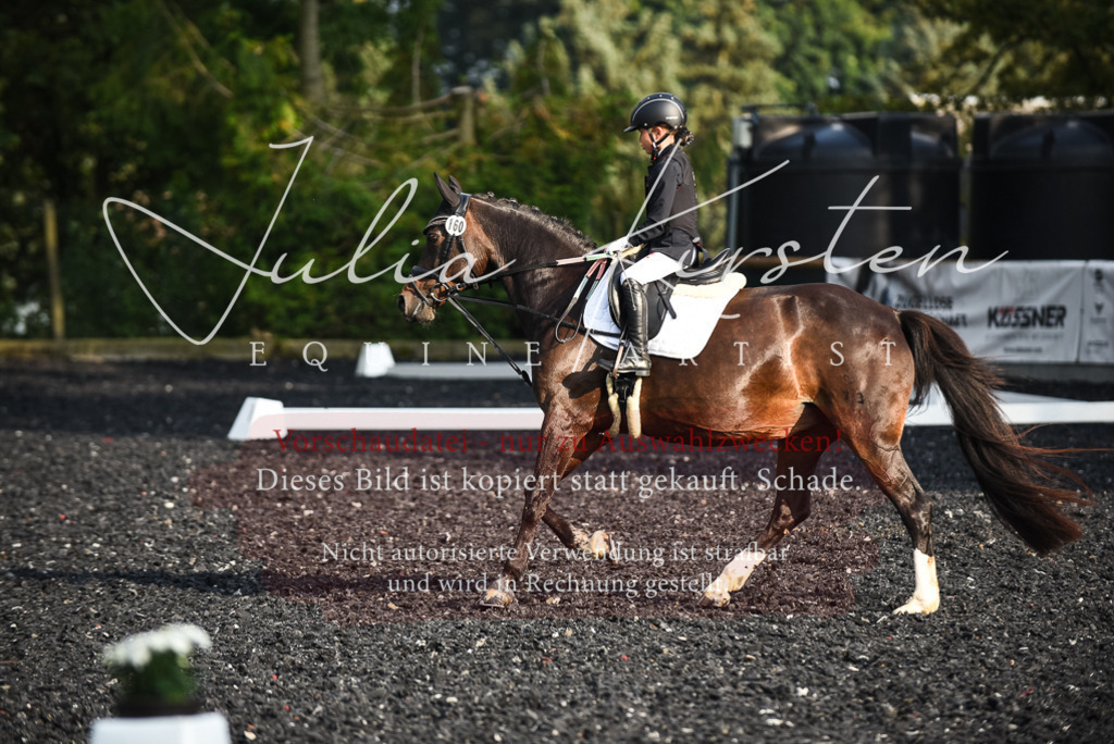 DSC_3521 | Pferde- und Turnierfotografie in Westsachsen. Pferdeportraits, Auftragszeichnungen und intuitive Kunst.