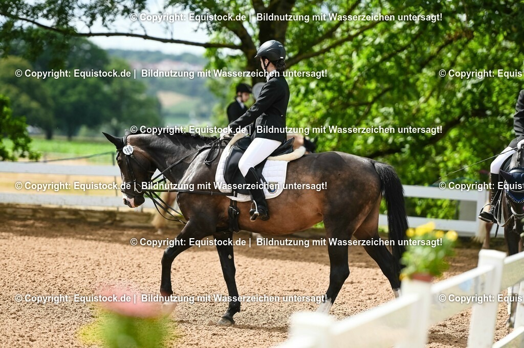 20230716_10-1_Reiter-WB Schritt - Trab - Galopp_0108 | equistock