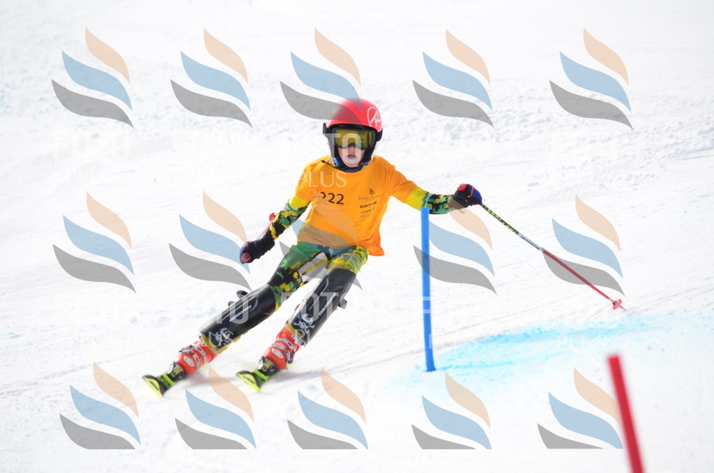 C8251 | holidayphoto